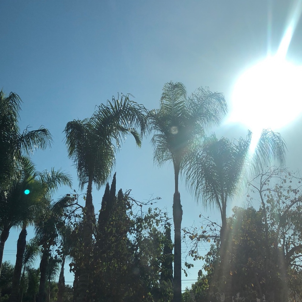 Meet your Posher, Jazmin